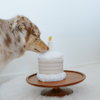 MY Birthday Cake