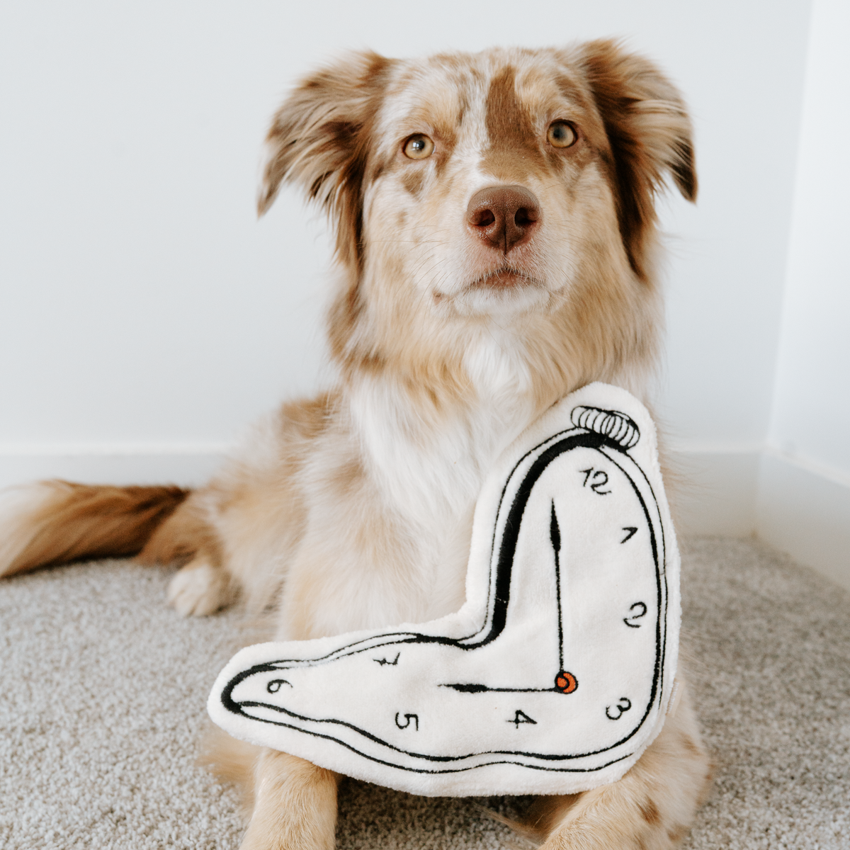 Surrealist Snuffles