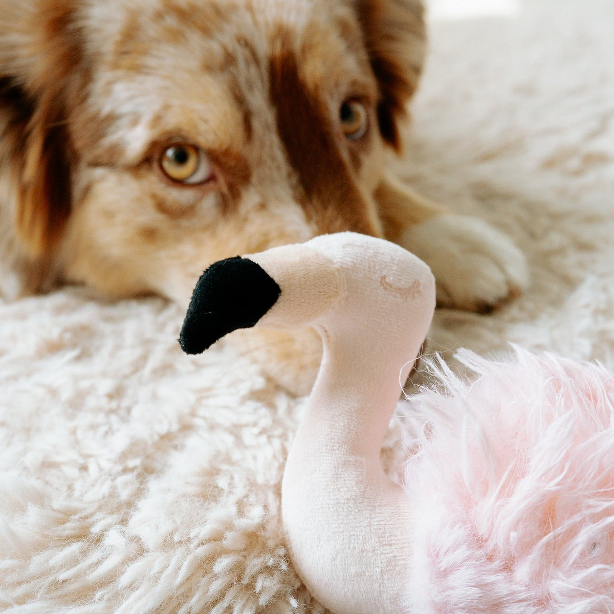 FLAMINGO