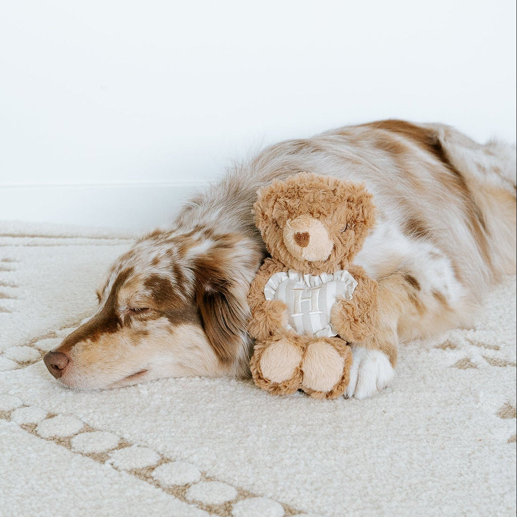 Initial Teddy