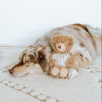 Initial Teddy