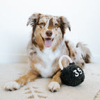 KETTLEBELL