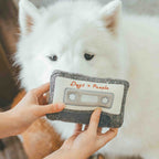 CASSETTE