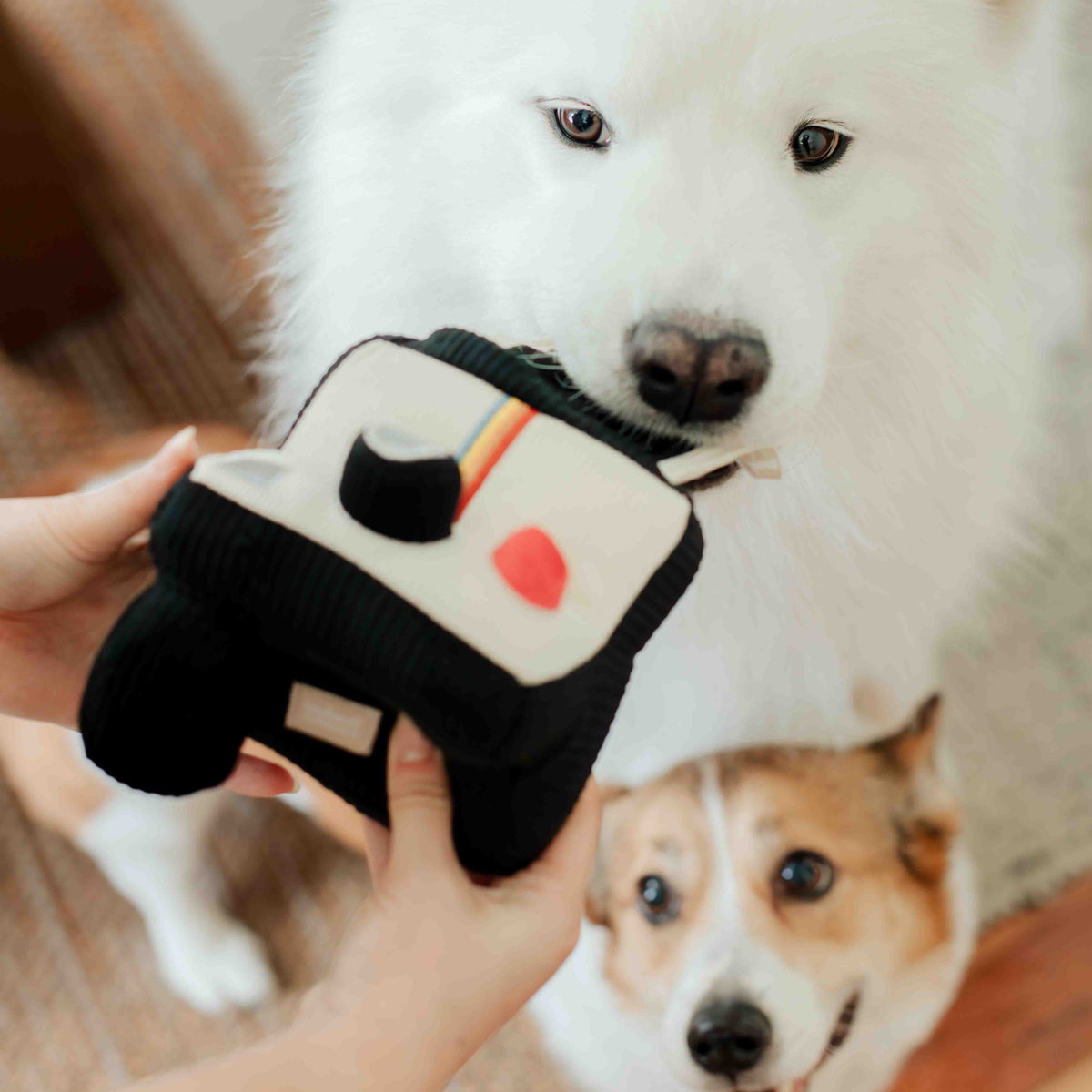 INSTANT CAMERA