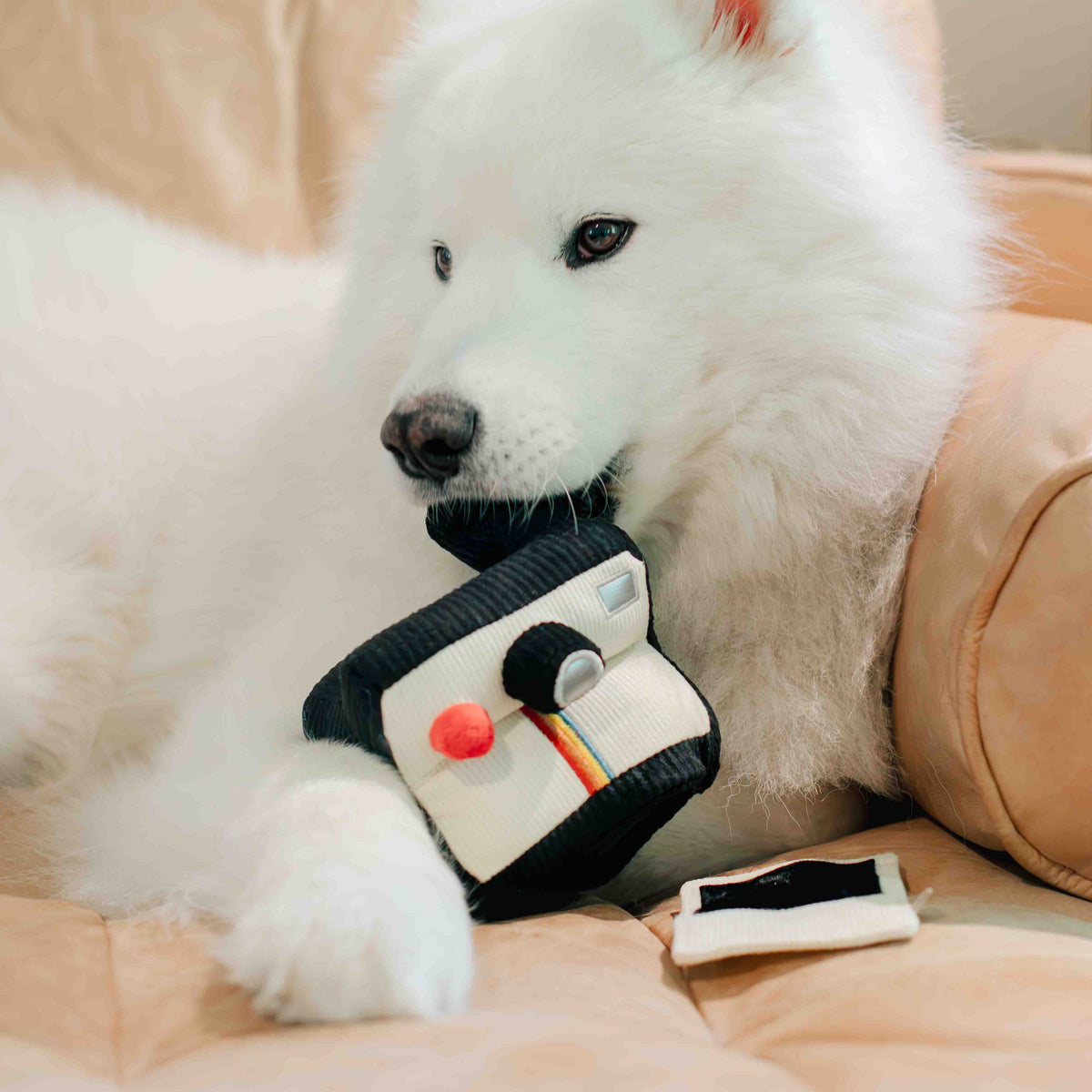 INSTANT CAMERA