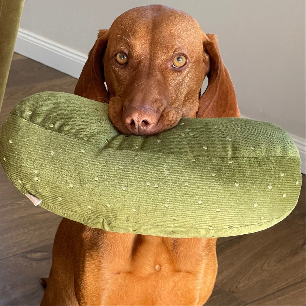 GIANT PICKLE