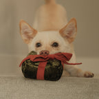 HOLIDAY BOX