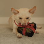 HOLIDAY BOX