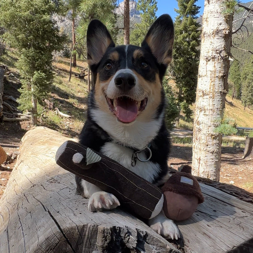 FIRE LOG
