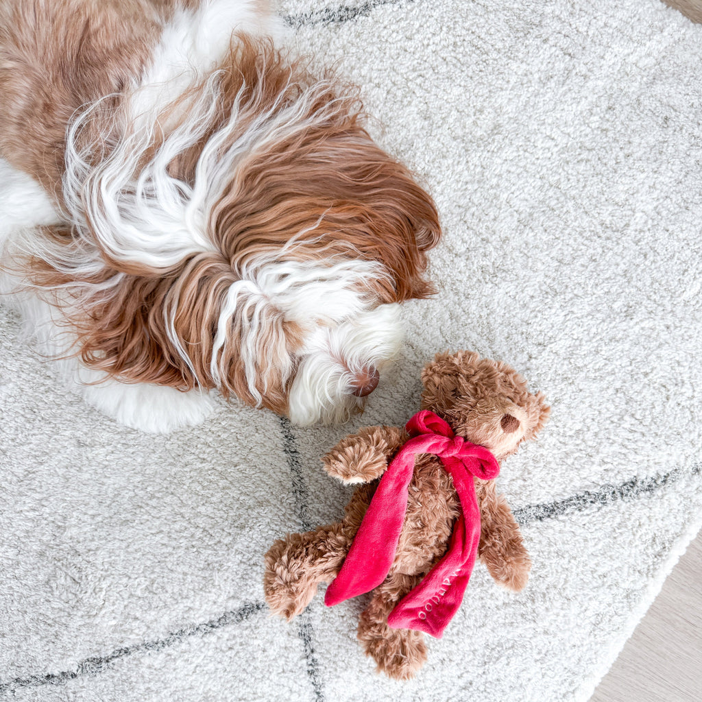 MY Teddy