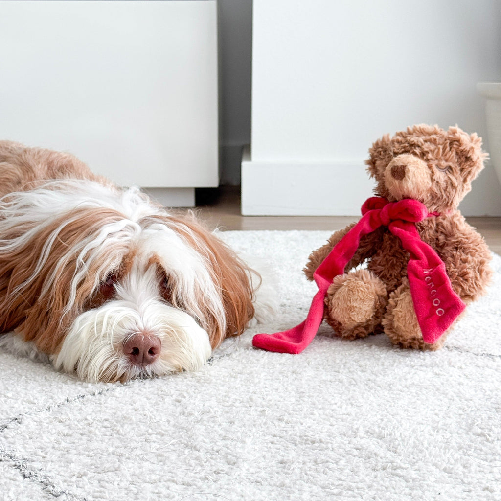 MY Teddy