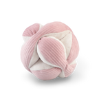 MONTI