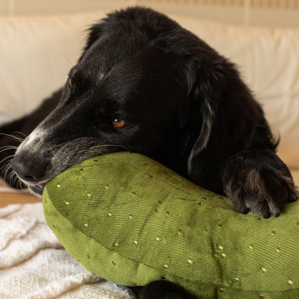 GIANT PICKLE