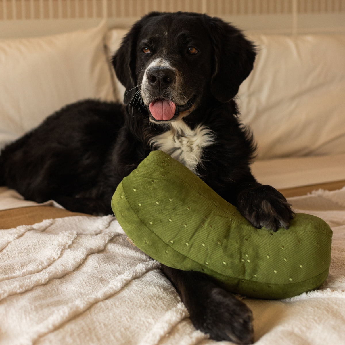 GIANT PICKLE