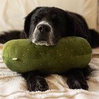 GIANT PICKLE