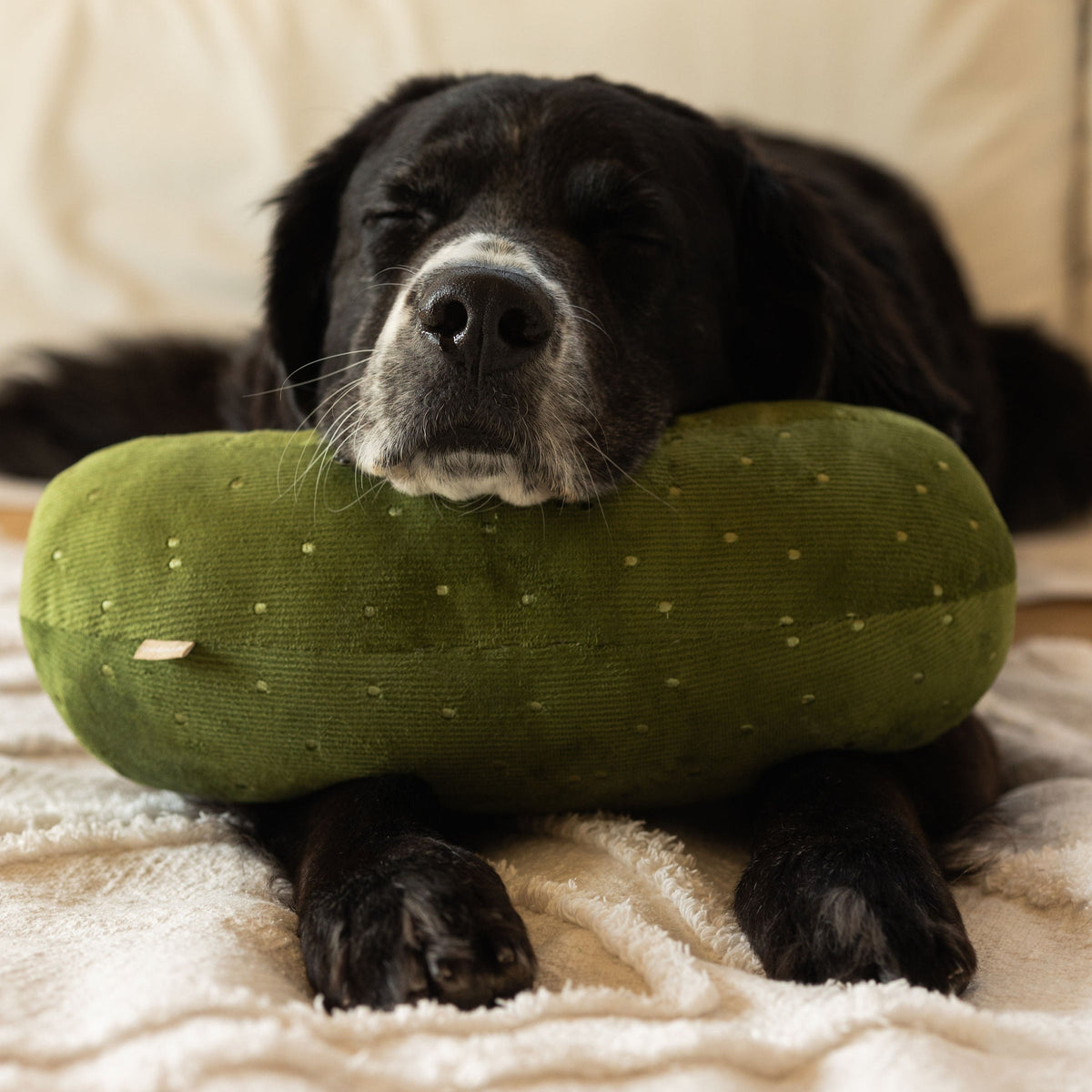 GIANT PICKLE