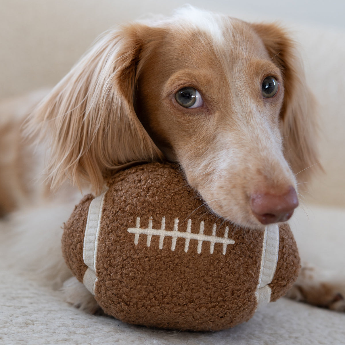 FOOTBALL