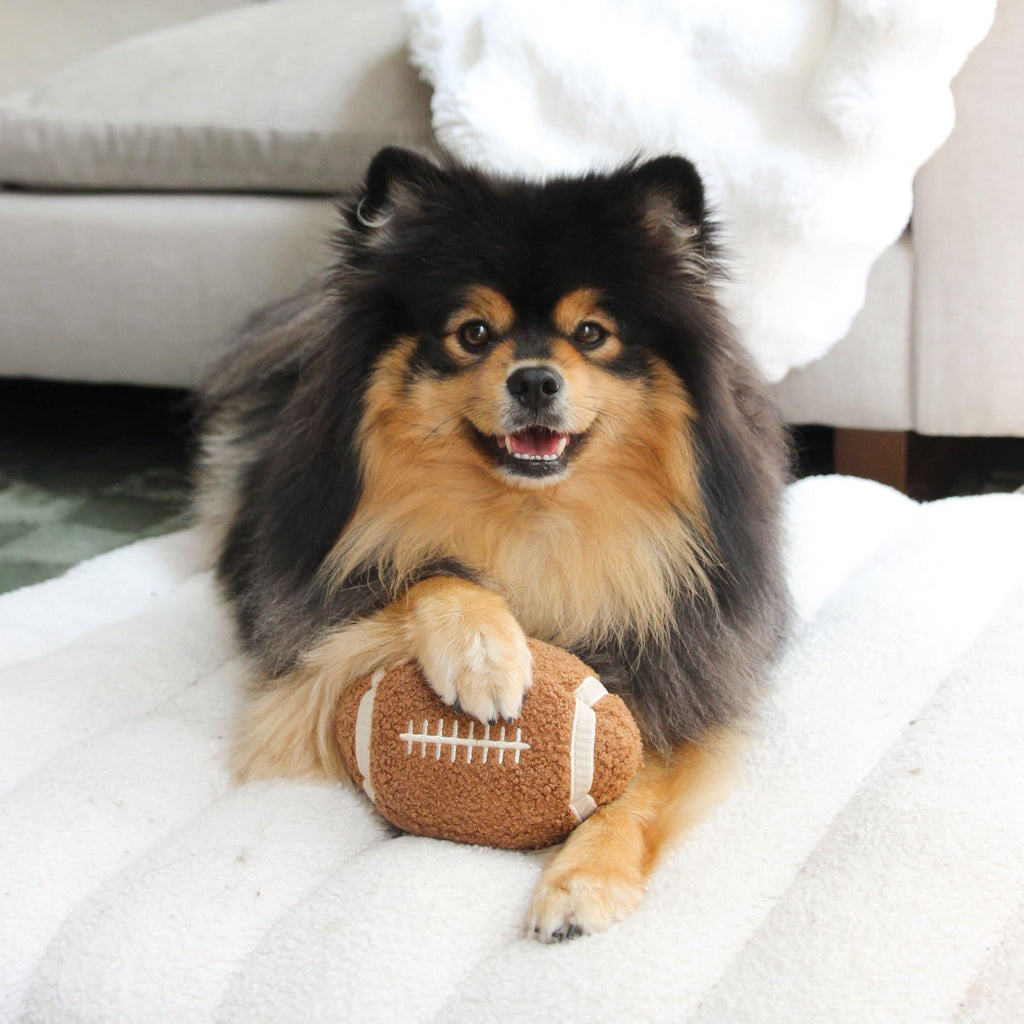 FOOTBALL