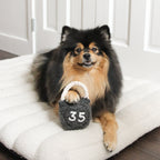 KETTLEBELL