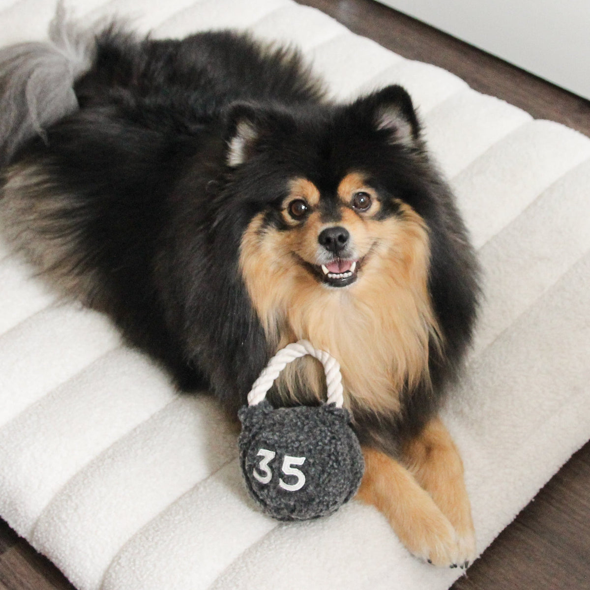 KETTLEBELL