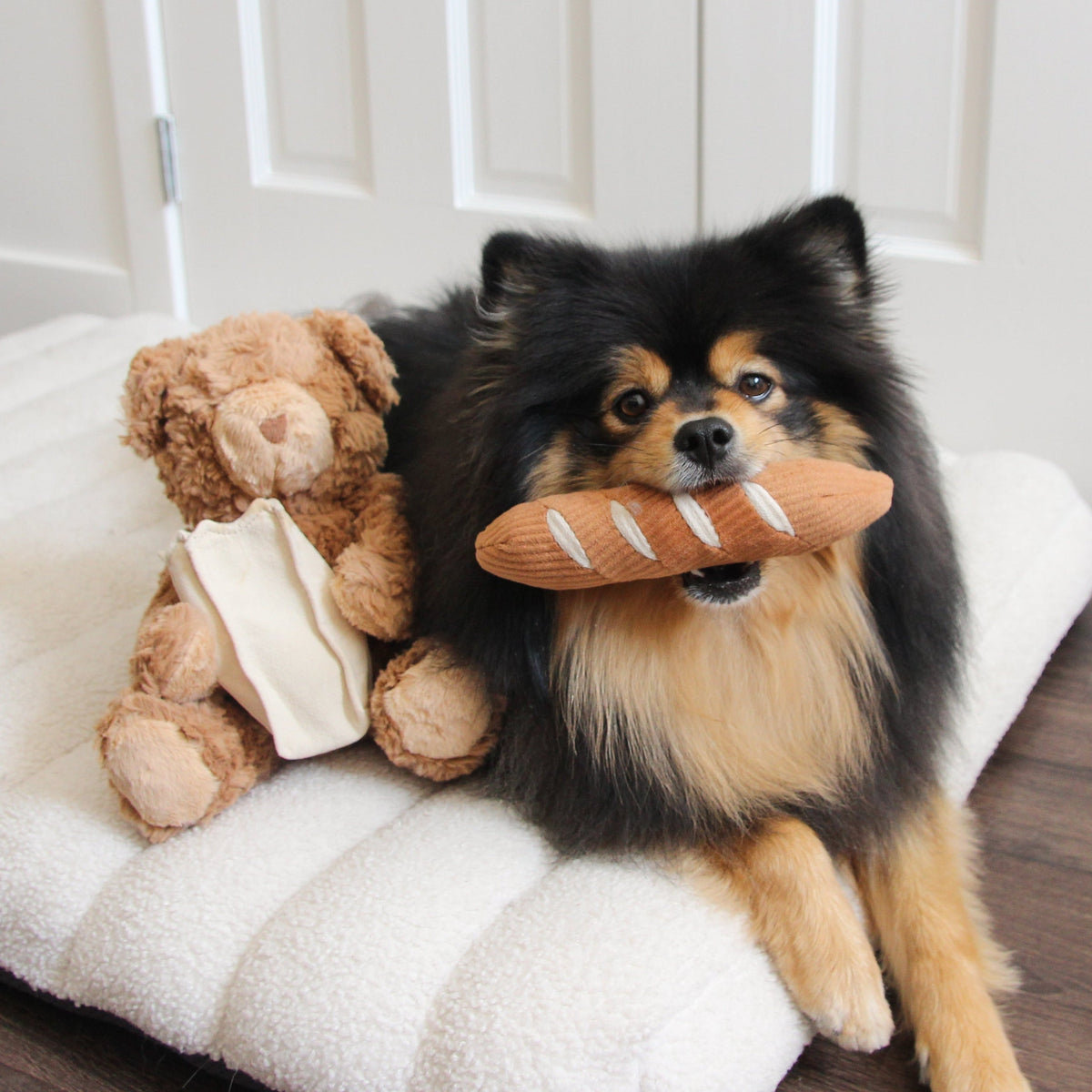 Teddy Baguette