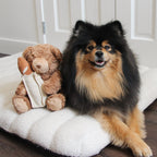 Teddy Baguette