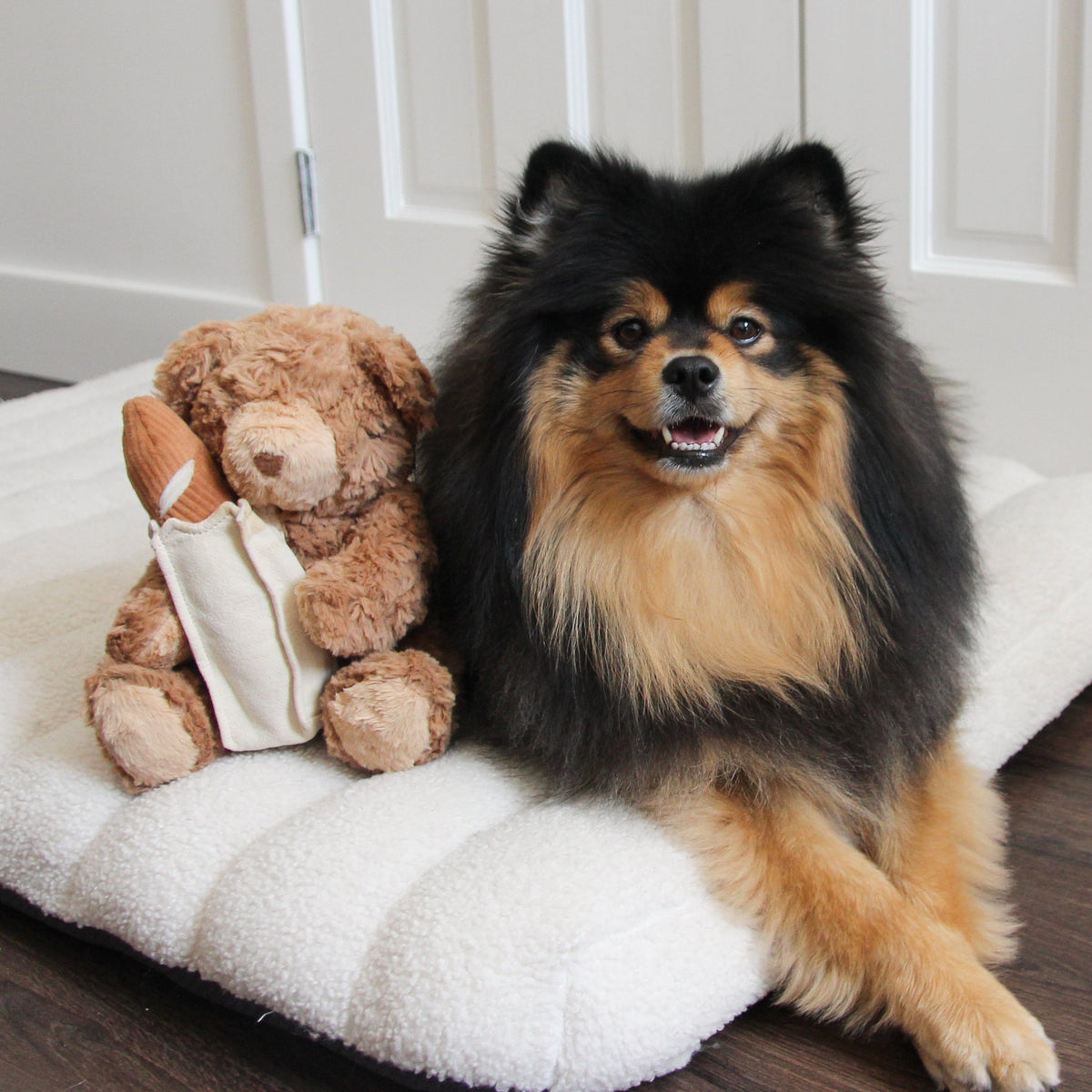 Teddy Baguette