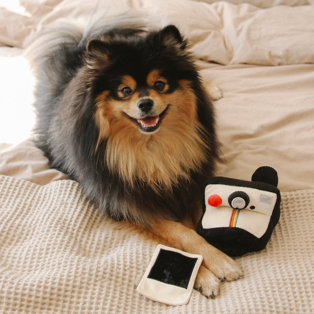 INSTANT CAMERA