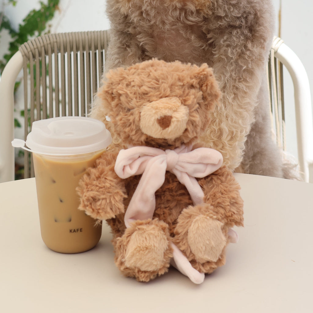 MY Teddy