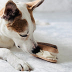 ECLAIR