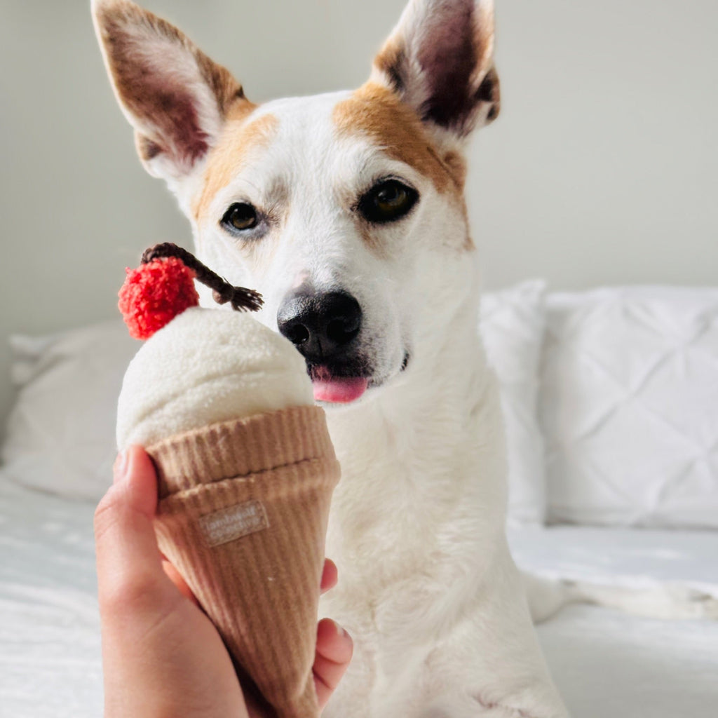 Ice Cream POP