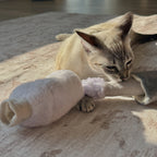 KITTY NAIL POLISHER
