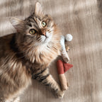 KITTY GOLFER