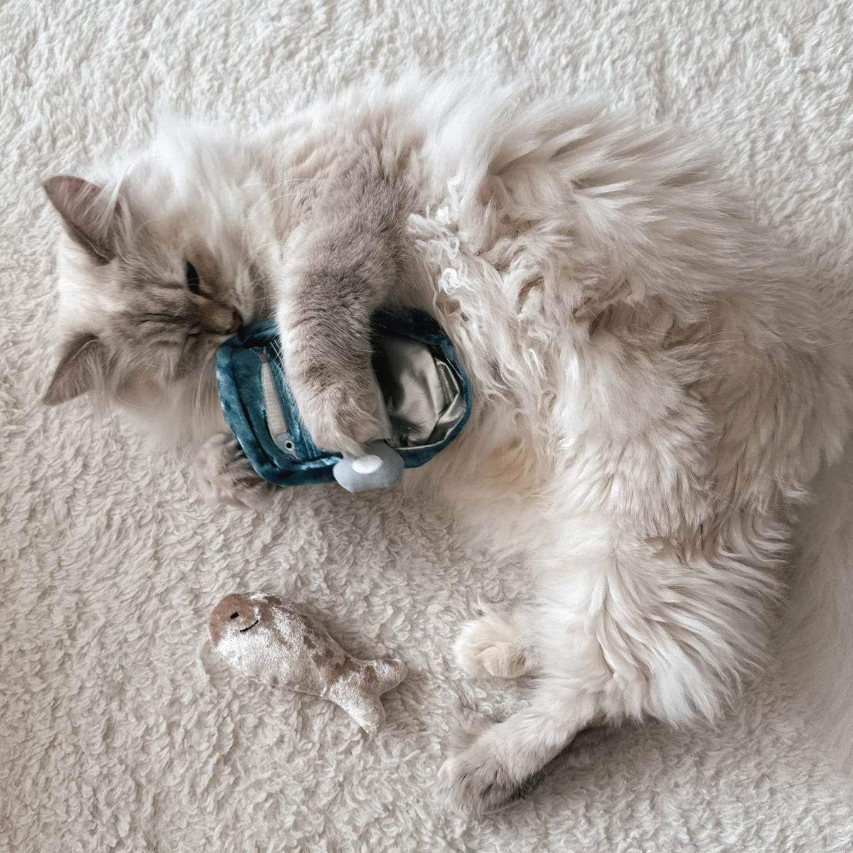 KITTY SARDINES