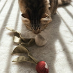 RADISH