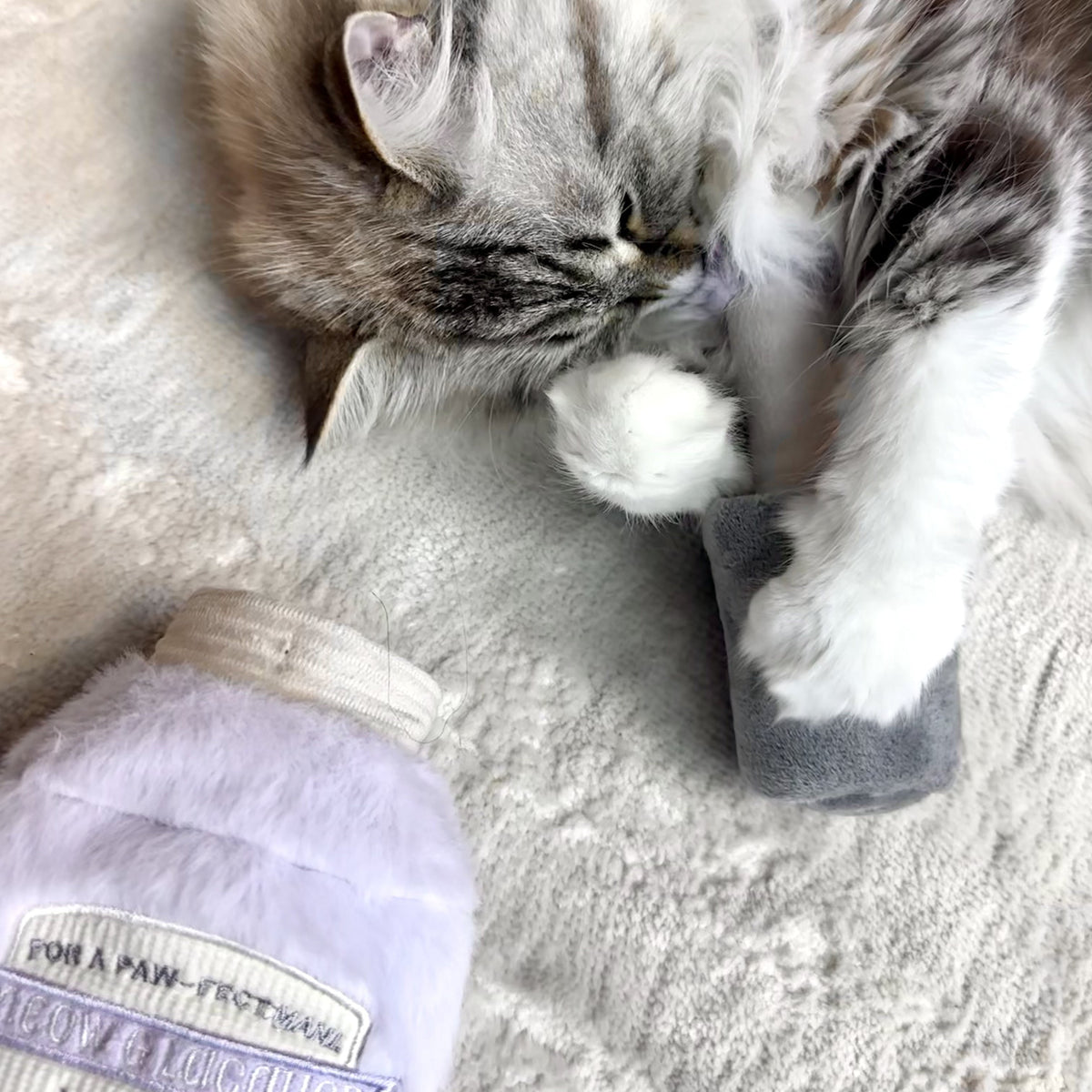 KITTY NAIL POLISHER