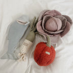MY LARGE FARMER'S MARKET SET
