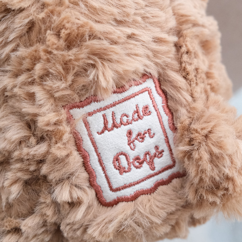 Initial Teddy