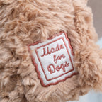 Initial Teddy