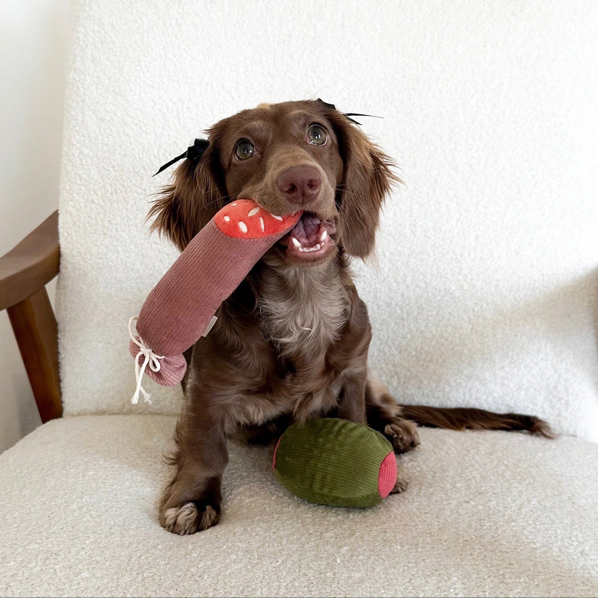 Olive + SALAMI