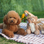 Teddy Baguette