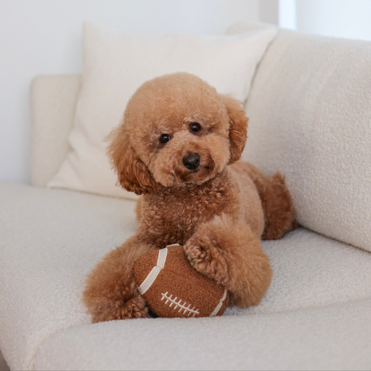 FOOTBALL
