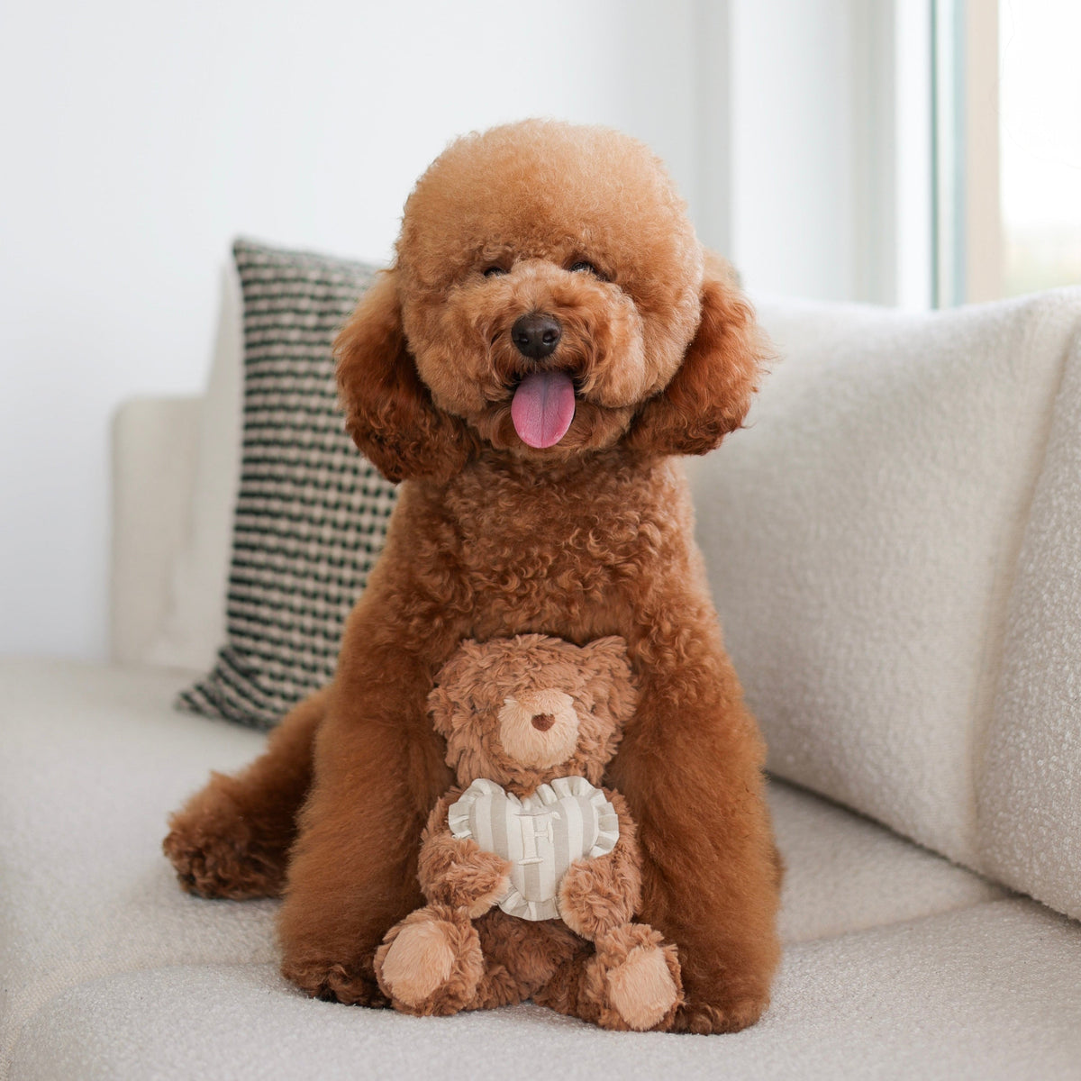 Initial Teddy