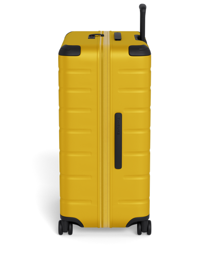 FreeStyle Check-In Plus