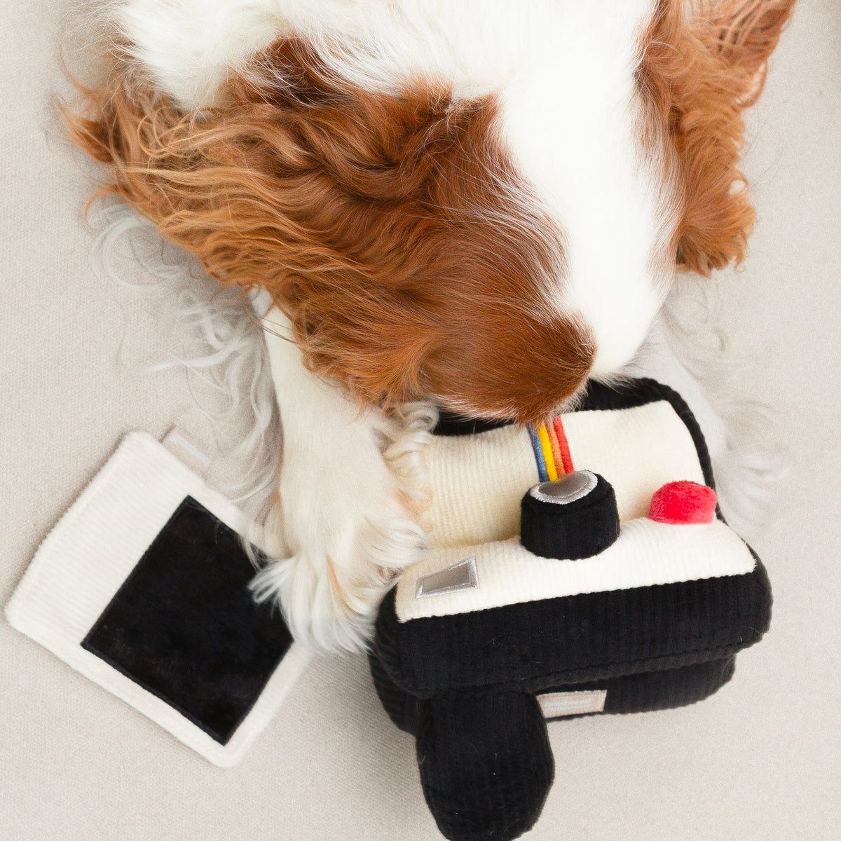 INSTANT CAMERA