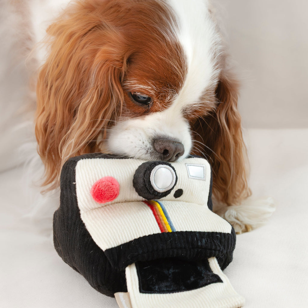 INSTANT CAMERA
