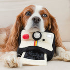 INSTANT CAMERA