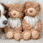 Initial Teddy