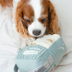 WOOF FM