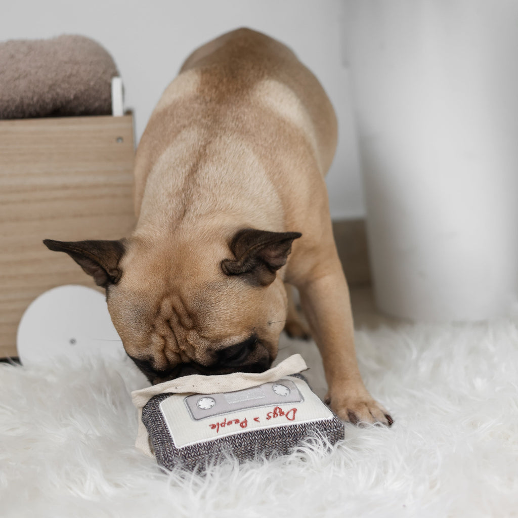 CASSETTE